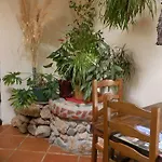 Couette-café Mas Des Olivettes *
