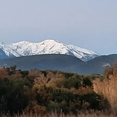 Alojamento de Acomodação e Pequeno-almoço Mas Des Olivettes Montauriol (Pyrenees-Orientales)