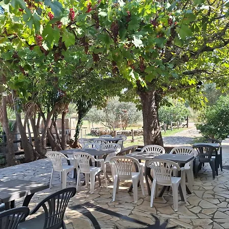Alojamento de Acomodação e Pequeno-almoço Mas Des Olivettes *