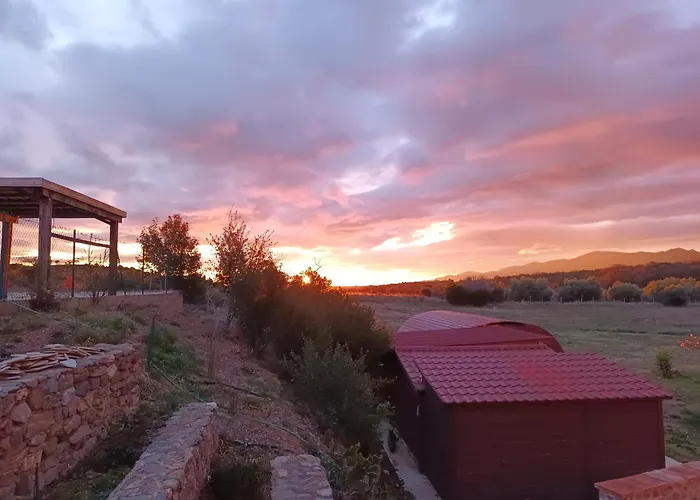 Mas Des Olivettes فندق مبيت وإفطار Montauriol (Pyrenees-Orientales)